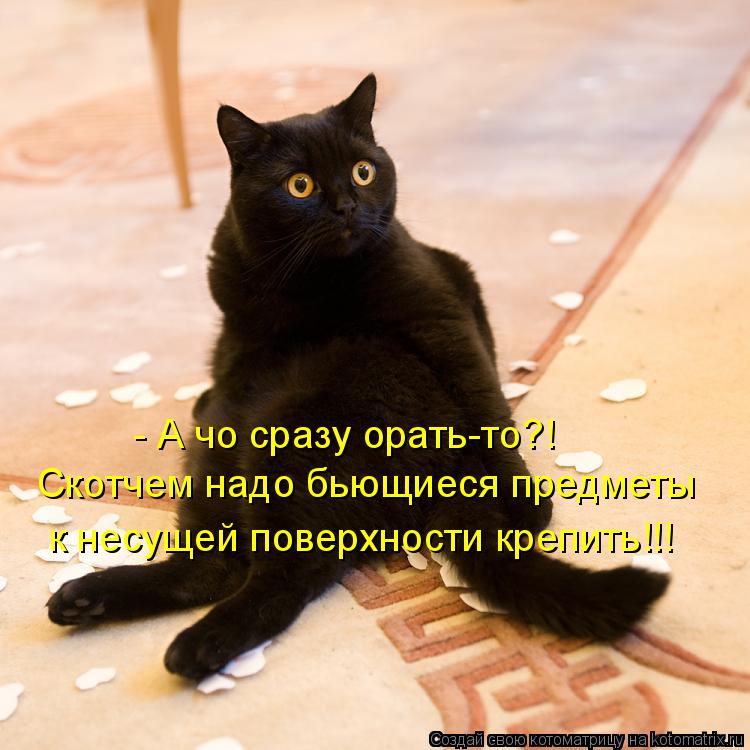 - А чо сразу орать-то?! Скотчем надо бьющиеся предметы к несущей поверхности крепить!!!... Котоматрица: - А чо сразу орать-то?! Скотчем надо бьющиеся предметы к несущей поверхности крепить!!!