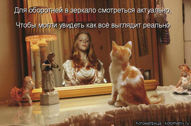 Чтобы могли увидеть как всё выглядит реально Для оборотней в зеркало смотреться актуально,... Котоматрица: Чтобы могли увидеть как всё выглядит реально Для оборотней в зеркало смотреться актуально,