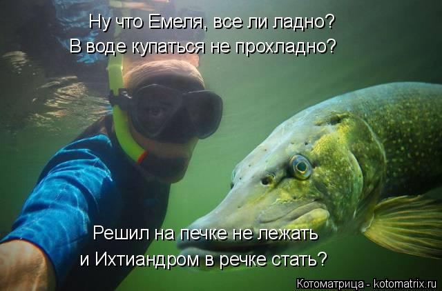 Котоматрица: Ну что Емеля, все ли ладно? В воде купаться не прохладно? Решил на печке не лежать и Ихтиандром в речке стать?