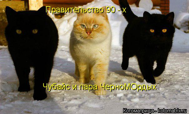 Котоматрица: Правительство 90 - х Чубайс и пара ЧерноМОрдых