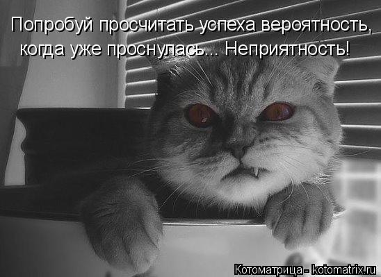 Попробуй просчитать успеха вероятность, когда уже проснулась... Неприятность!... Котоматрица: Попробуй просчитать успеха вероятность, когда уже проснулась... Неприятность!