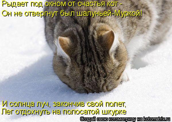 Рыдает под окном от счастья кот - И солнца луч, закончив свой полет, Он не отвергнут был шалуньей-Мур... Котоматрица: Рыдает под окном от счастья кот - И солнца луч, закончив свой полет, Он не отвергнут был шалуньей-Муркой! Лег отдохнуть на полосатой шкурке