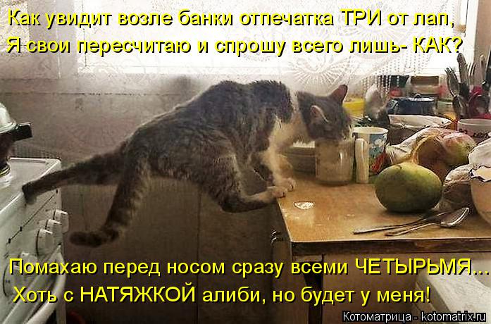 Котоматрица: Как увидит возле банки отпечатка ТРИ от лап, Я свои пересчитаю и спрошу всего лишь- КАК? Хоть с НАТЯЖКОЙ алиби, но будет у меня! Помахаю перед 