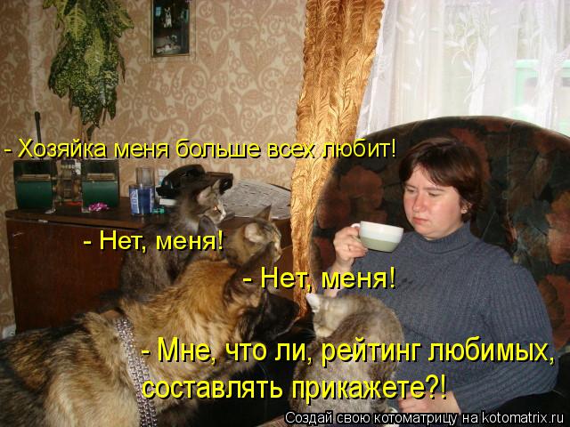 Котоматрица: - Хозяйка меня больше всех любит! - Нет, меня! - Нет, меня! - Мне, что ли, рейтинг любимых,  составлять прикажете?!