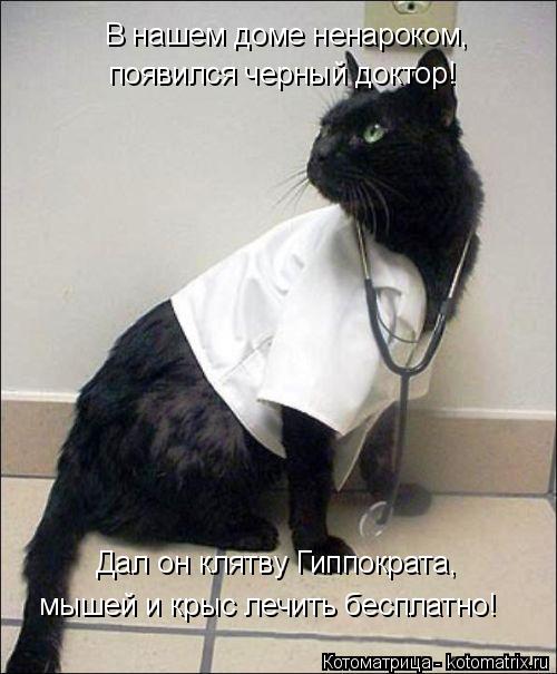 Котоматрица: В нашем доме ненароком, появился черный доктор! Дал он клятву Гиппократа, мышей и крыс лечить бесплатно!