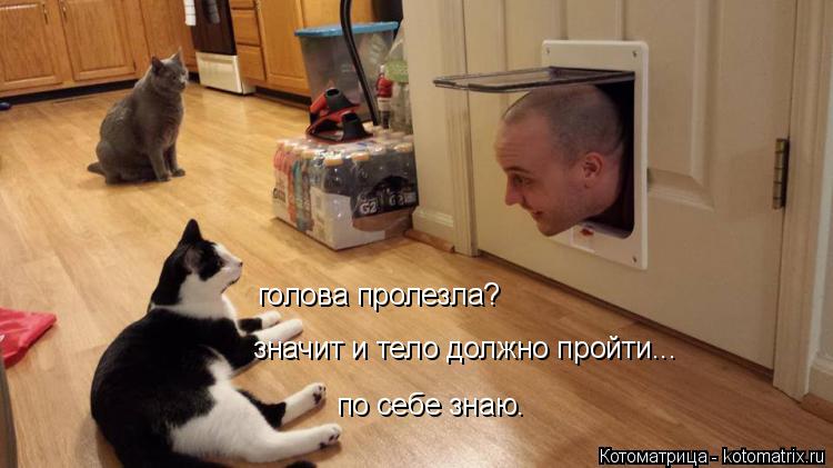 Котоматрица: голова пролезла? значит и тело должно пройти... по себе знаю.