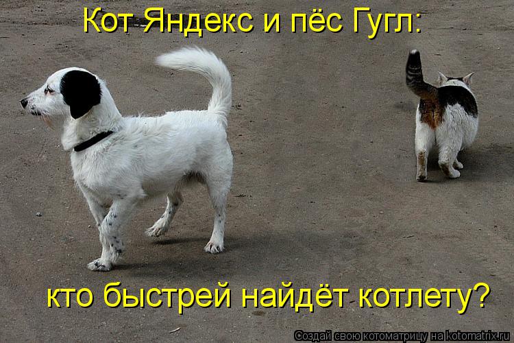 Котоматрица: Кот Яндекс и пёс Гугл: кто быстрей найдёт котлету?