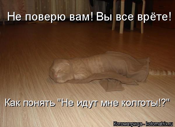 Не поверю вам! Вы все врёте! Как понять "Не идут мне колготы!?"... Котоматрица: Не поверю вам! Вы все врёте! Как понять "Не идут мне колготы!?"