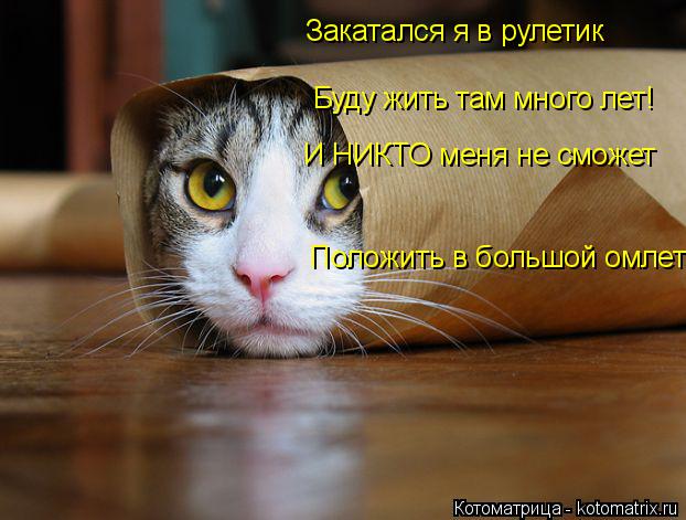 Закатался я в рулетик Буду жить там много лет! И НИКТО меня не сможет Положить в большой омлет!... Котоматрица: Закатался я в рулетик Буду жить там много лет! И НИКТО меня не сможет Положить в большой омлет!