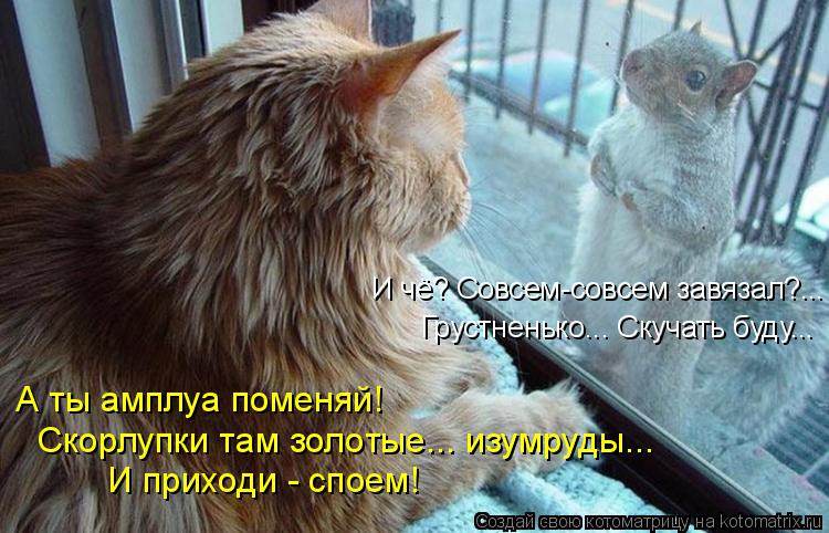 Котоматрица: И чё? Совсем-совсем завязал?... Грустненько... Скучать буду... А ты амплуа поменяй!  Скорлупки там золотые... изумруды... И приходи - споем!