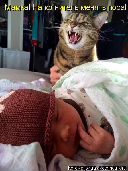 -Мамка! Наполнитель менять пора!... Котоматрица: -Мамка! Наполнитель менять пора!