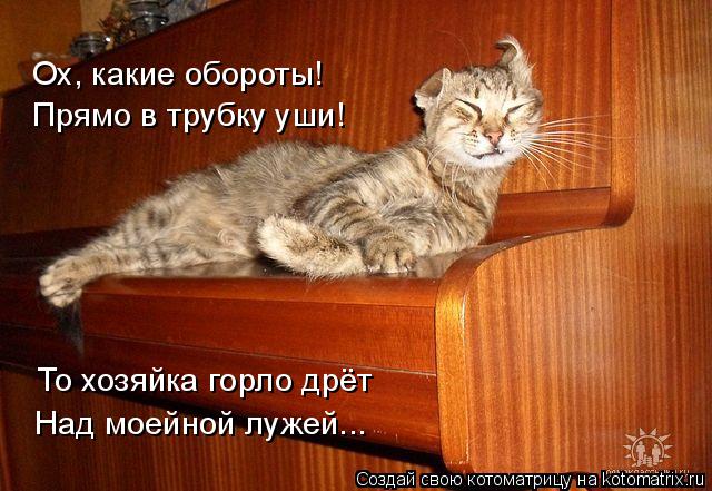 Котоматрица: Ох, какие обороты!  Прямо в трубку уши! То хозяйка горло дрёт Над моейной лужей...