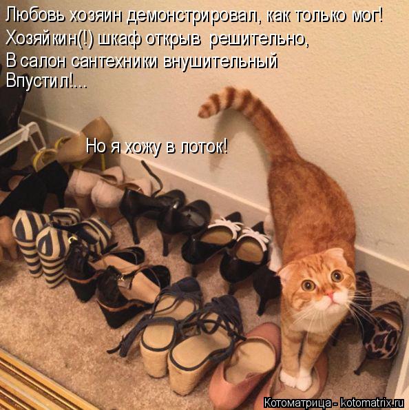 Любовь хозяин демонстрировал, как только мог! Хозяйкин(!) шкаф открыв решительно, В салон сантехники... Котоматрица: Любовь хозяин демонстрировал, как только мог! Хозяйкин(!) шкаф открыв решительно, В салон сантехники внушительный Впустил!... Но я хожу в лот