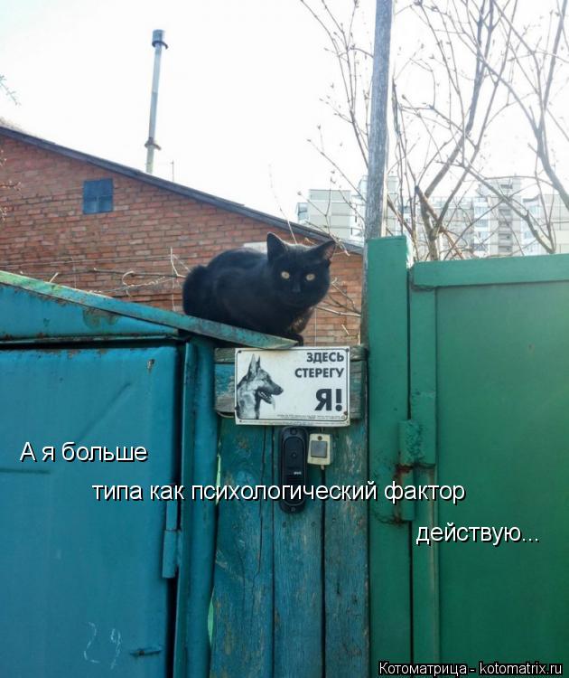 Котоматрица: А я больше  типа как психологический фактор действую...