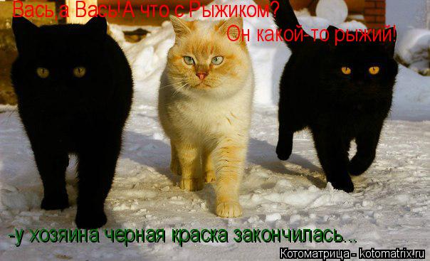 Вась,а Вась!А что с Рыжиком? Вась,а Вась!А что с Рыжиком? Он какой-то рыжий! -у хозяина черная краска... Котоматрица: Вась,а Вась!А что с Рыжиком? Вась,а Вась!А что с Рыжиком? Он какой-то рыжий! -у хозяина черная краска закончилась...