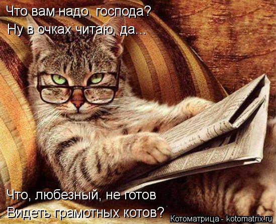 Что вам надо, господа? Ну в очках читаю, да... Что, любезный, не готов Видеть грамотных котов?... Котоматрица: Что вам надо, господа? Ну в очках читаю, да... Что, любезный, не готов Видеть грамотных котов?