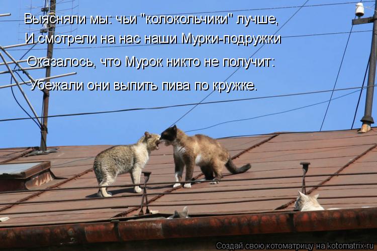Выясняли мы: чьи "колокольчики" лучше, И смотрели на нас наши Мурки-подружки Оказалось, что Мурок ни... Котоматрица: Выясняли мы: чьи "колокольчики" лучше, И смотрели на нас наши Мурки-подружки Оказалось, что Мурок никто не получит: Убежали они выпить пива п