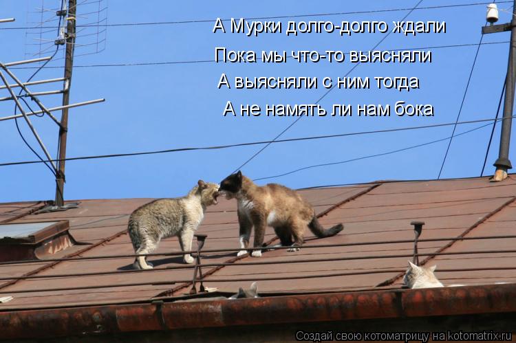 А Мурки долго-долго ждали Пока мы что-то выясняли А выясняли с ним тогда А не намять ли нам бока... Котоматрица: А Мурки долго-долго ждали Пока мы что-то выясняли А выясняли с ним тогда А не намять ли нам бока