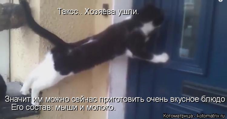 Таксс.. Хозяева ушли. Значит им можно сейчас приготовить очень вкусное блюдо Его состав: мыши и моло... Котоматрица: Таксс.. Хозяева ушли. Значит им можно сейчас приготовить очень вкусное блюдо Его состав: мыши и молоко.