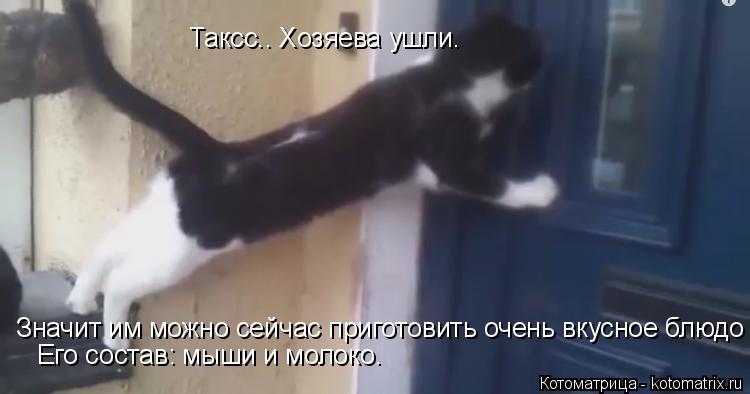 Котоматрица: Таксс.. Хозяева ушли.  Значит им можно сейчас приготовить очень вкусное блюдо Его состав: мыши и молоко.