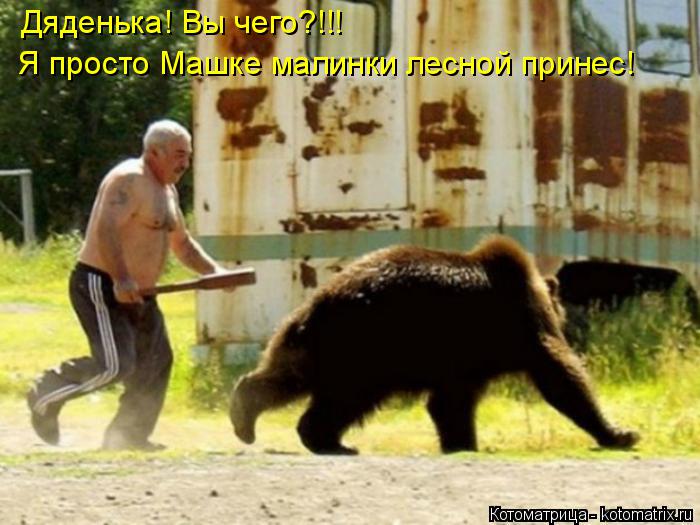 Дяденька! Вы чего?!!! Я просто Машке малинки лесной принес!... Котоматрица: Дяденька! Вы чего?!!! Я просто Машке малинки лесной принес!