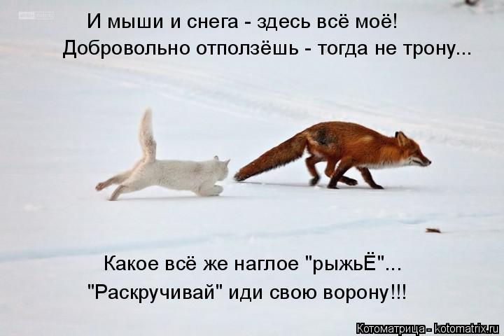 И мыши и снега - здесь всё моё! Добровольно отползёшь - тогда не трону... Какое всё же наглое "рыжьЁ"... Котоматрица: И мыши и снега - здесь всё моё! Добровольно отползёшь - тогда не трону... Какое всё же наглое "рыжьЁ"... "Раскручивай" иди свою ворону!!!