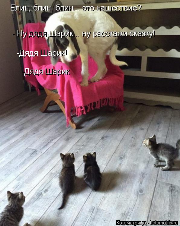 Блин, блин, блин... это нашествие? - Ну дядя Шарик... ну расскажи сказку! -Дядя Шарик! -Дядя Шарик... Котоматрица: Блин, блин, блин... это нашествие? - Ну дядя Шарик... ну расскажи сказку! -Дядя Шарик! -Дядя Шарик