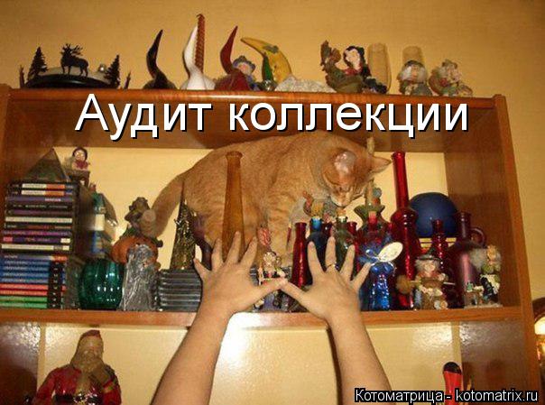Аудит коллекции... Котоматрица: Аудит коллекции