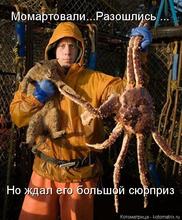 Момартовали...Разошлись ... Но ждал его большой сюрприз... Котоматрица: Момартовали...Разошлись ... Но ждал его большой сюрприз