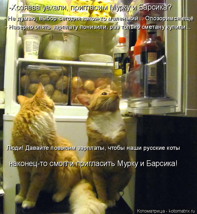 -Хозяева уехали, пригласим Мурку и Барсика? - Не думаю, выбор сегодня какой-то маленький... Опозоримс... Котоматрица: -Хозяева уехали, пригласим Мурку и Барсика? - Не думаю, выбор сегодня какой-то маленький... Опозоримся ещё - Наверно опять зарплату понизили, р