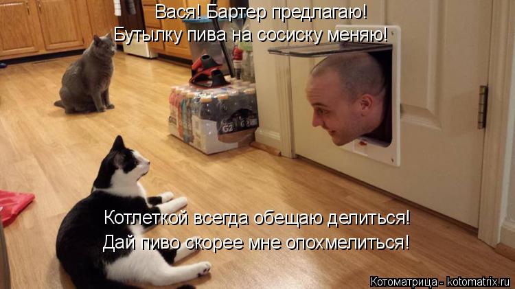 Вася! Бартер предлагаю! Бутылку пива на сосиску меняю! Котлеткой всегда обещаю делиться! Дай пиво ско... Котоматрица: Вася! Бартер предлагаю! Бутылку пива на сосиску меняю! Котлеткой всегда обещаю делиться! Дай пиво скорее мне опохмелиться!