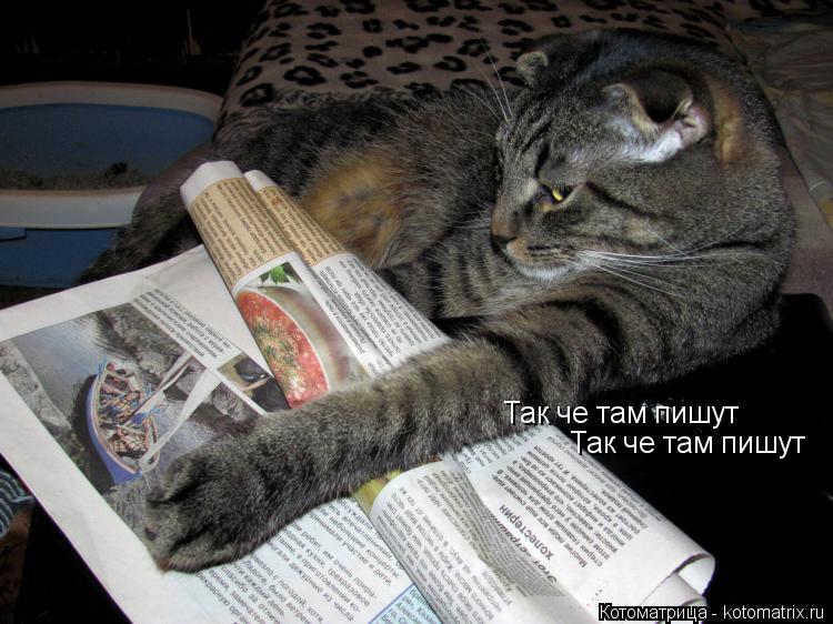 Так че там пишут Так че там пишут... Котоматрица: Так че там пишут Так че там пишут