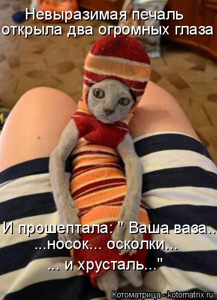 Котоматрица: открыла два огромных глаза Невыразимая печаль И прошептала: " Ваша ваза... ...носок... осколки... ... и хрусталь..."