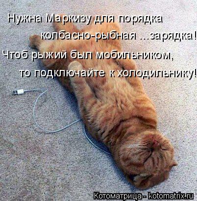 Котоматрица: Нужна Маркизу для порядка колбасно-рыбная ...зарядка! Чтоб рыжий был мобильником, то подключайте к холодильнику!