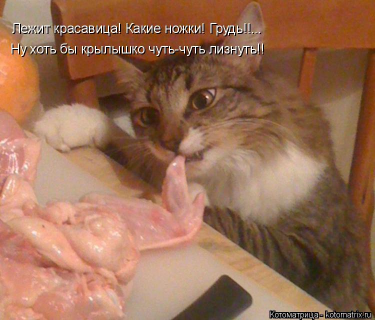 Котоматрица: Лежит красавица! Какие ножки! Грудь!!... Ну хоть бы крылышко чуть-чуть лизнуть!!