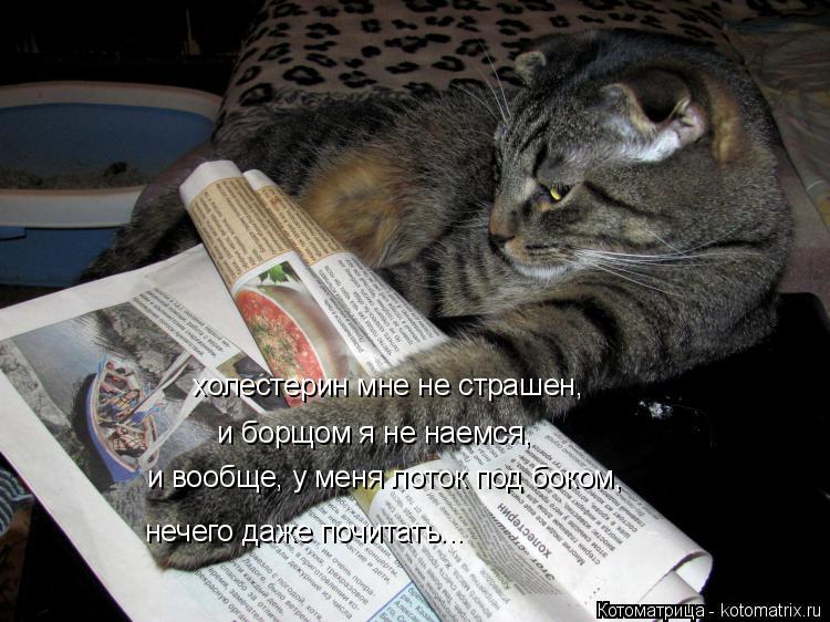 Котоматрица: холестерин мне не страшен, и борщом я не наемся, и вообще, у меня лоток под боком, нечего даже почитать...