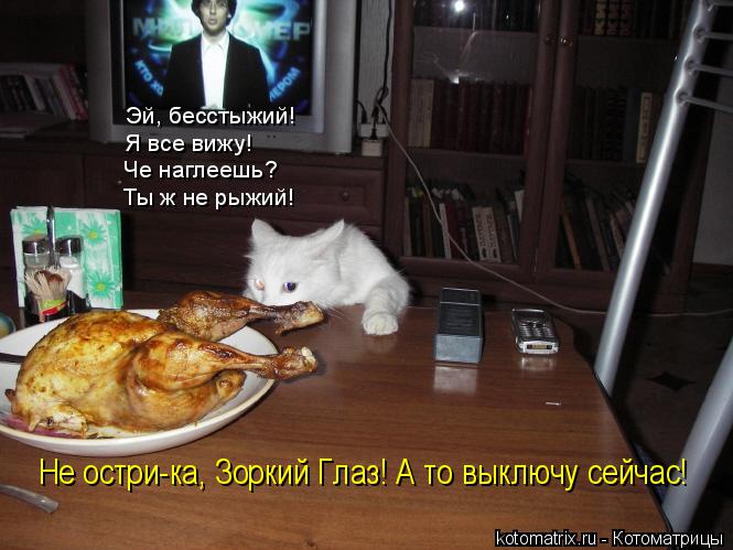 Котоматрица: Эй, бесстыжий! Я все вижу! Че наглеешь? Ты ж не рыжий! Не остри-ка, Зоркий Глаз! А то выключу сейчас!