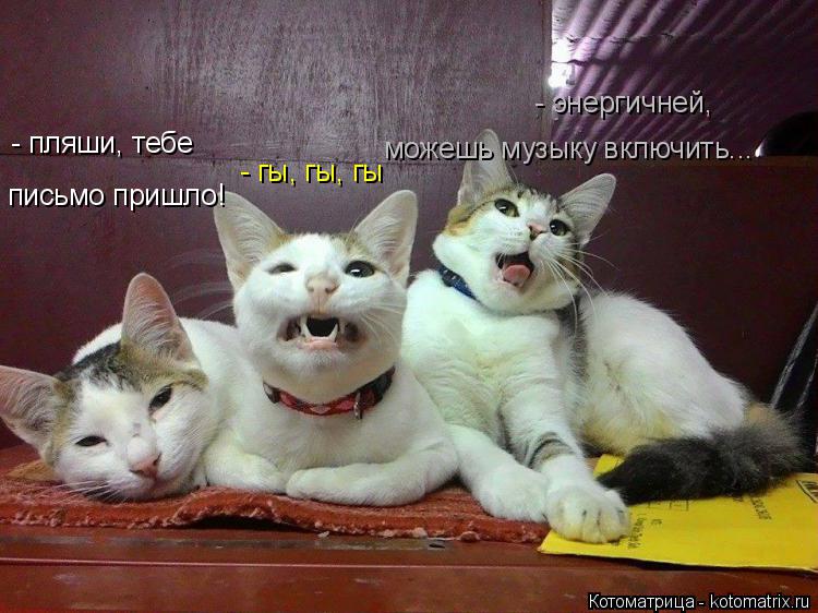 Котоматрица: - пляши, тебе  письмо пришло! - гы, гы, гы - энергичней, можешь музыку включить...
