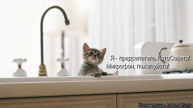Котоматрица: Я - предселатель КотоСовета! Микрофон, пожалуйста!