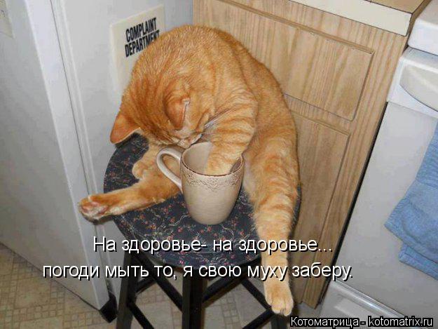 На здоровье- на здоровье... погоди мыть то, я свою муху заберу.... Котоматрица: На здоровье- на здоровье... погоди мыть то, я свою муху заберу.