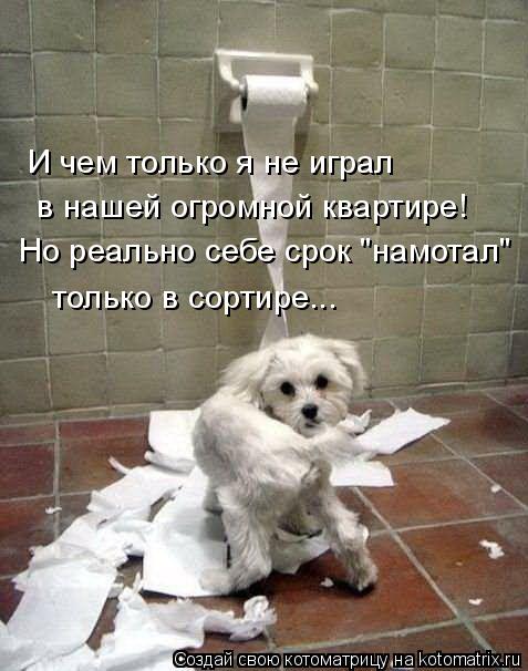 Котоматрица: мотал И чем только я не играл в нашей огромной квартире! Но реально себе срок "намотал" только в сортире...