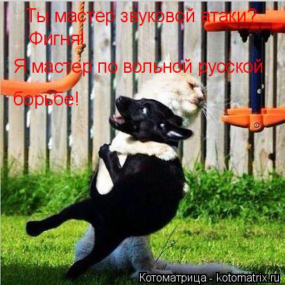 Котоматрица: Ты мастер звуковой атаки? Фигня! Я мастер по вольной русской  борьбе!
