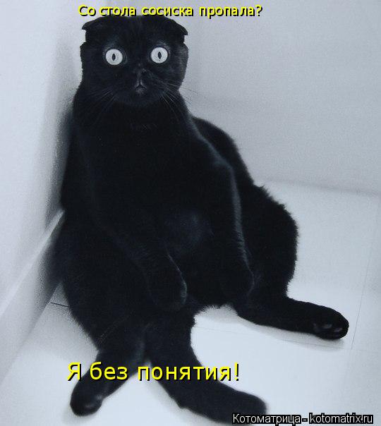 Котоматрица: Со стола сосиска пропала? Я без понятия!