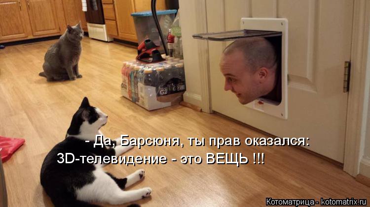 Котоматрица: - Да, Барсюня, ты прав оказался: 3D-телевидение - это ВЕЩЬ !!!