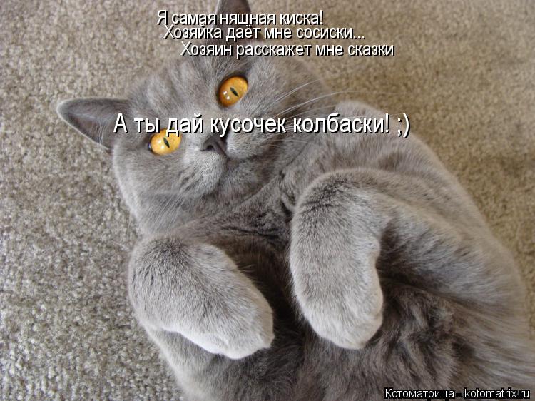 Котоматрица: Я самая няшная киска! Хозяйка даёт мне сосиски... Хозяин расскажет мне сказки А ты дай кусочек колбаски! ;)