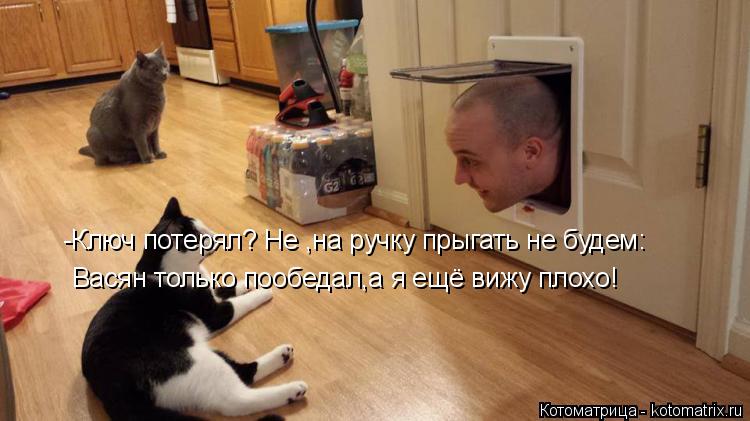 Котоматрица: -Ключ потерял? Не ,на ручку прыгать не будем:  Васян только пообедал,а я ещё вижу плохо!