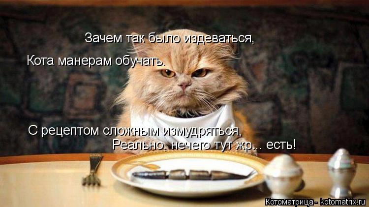 Котоматрица: Зачем так было издеваться, Кота манерам обучать. С рецептом сложным измудряться, Реально, нечего тут жр... есть!