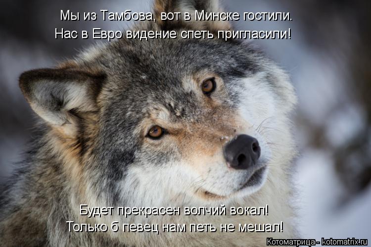 Котоматрица: Мы из Тамбова, вот в Минске гостили. Нас в Евро видение спеть пригласили! Только б певец нам петь не мешал! Будет прекрасен волчий вокал!