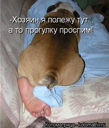 Котоматрица: -Хозяин,я полежу тут... а то прогулку проспим!