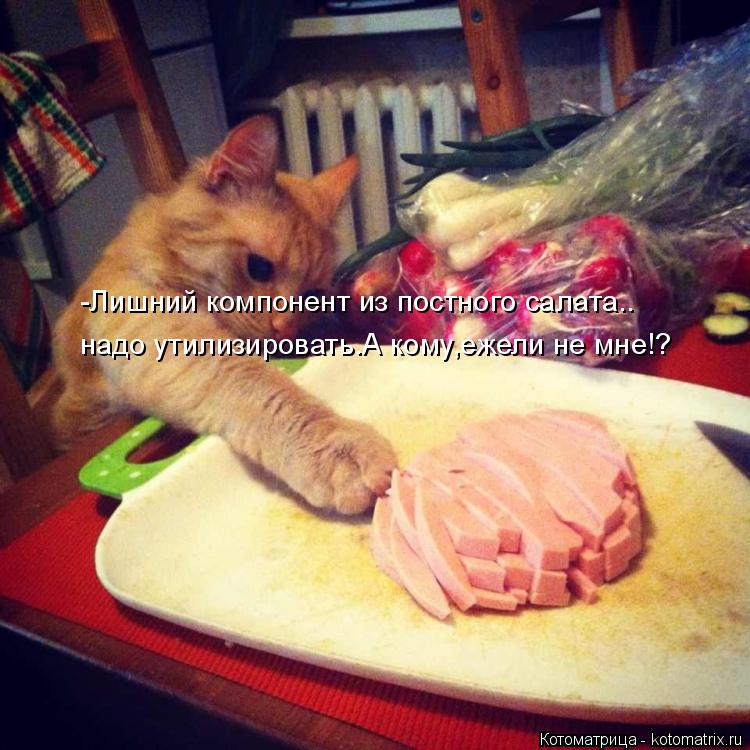 Котоматрица: -Лишний компонент из постного салата.. надо утилизировать.А кому,ежели не мне!?